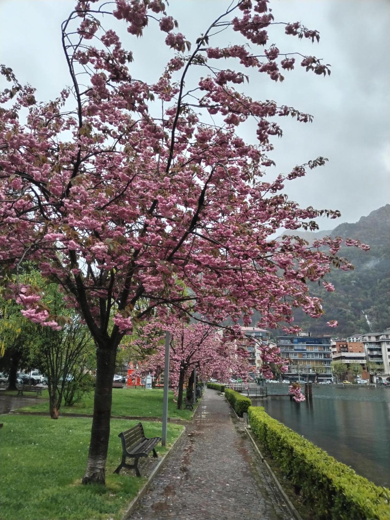 Un Balcone Sul Lago أومغنا المظهر الخارجي الصورة