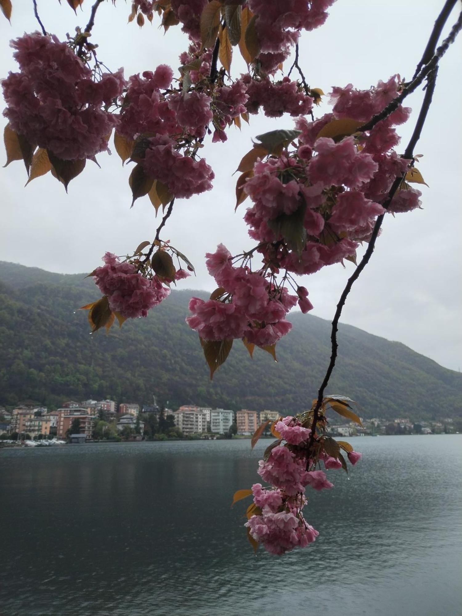 Un Balcone Sul Lago أومغنا المظهر الخارجي الصورة